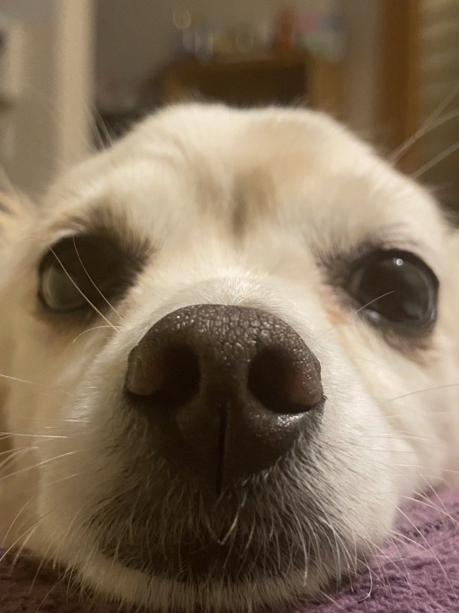 お店来てくれたら僕もうれションしてます