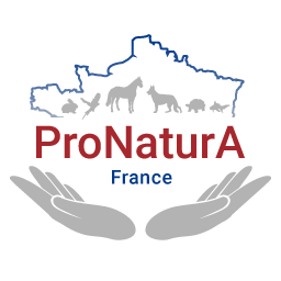 Dans un courrier, adressé aux ministères et services concernés, ProNaturA souligne un problème juridique majeur concernant l'arrêté du 11 août 2006, qui régit la liste des espèces, races et variétés animales domestiques en France. 
is.gd/vMXMTm