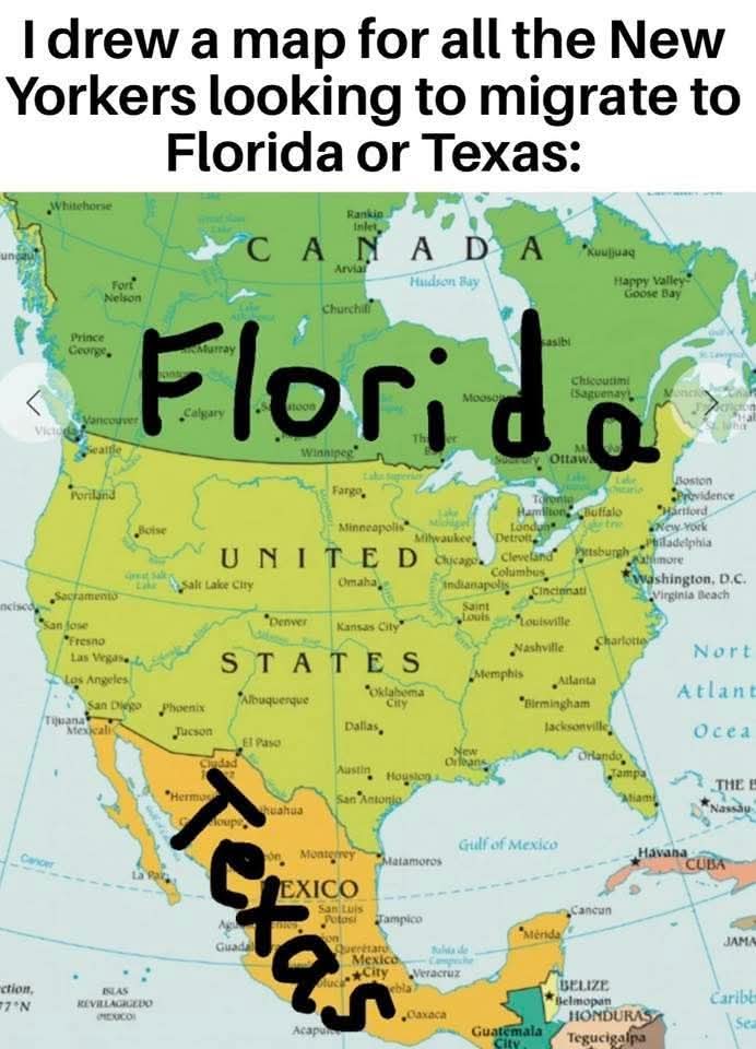 Mr. Star Spangled MAGA tweet media