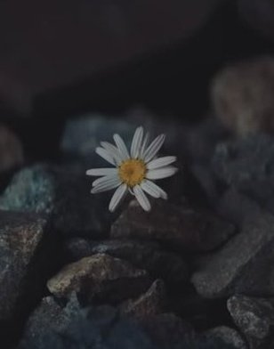 Rickatycat's tweet image. Katy Perry - bandaids🩹🥹