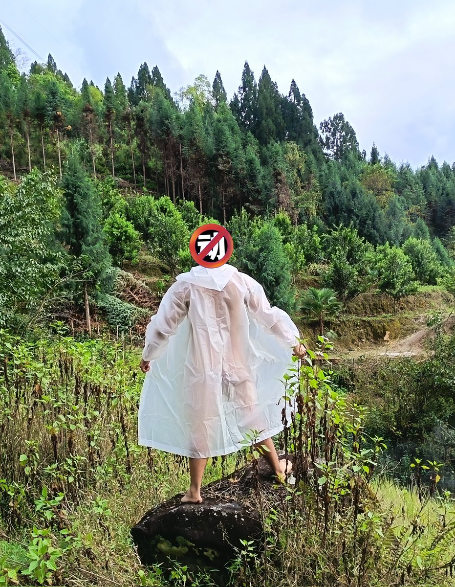 dcdc_tt's tweet photo. 都立冬了，依然绿意盎然
还有小野花
#户外野裸 
#天体裸拍 https://t.co/8acBfRk8lj