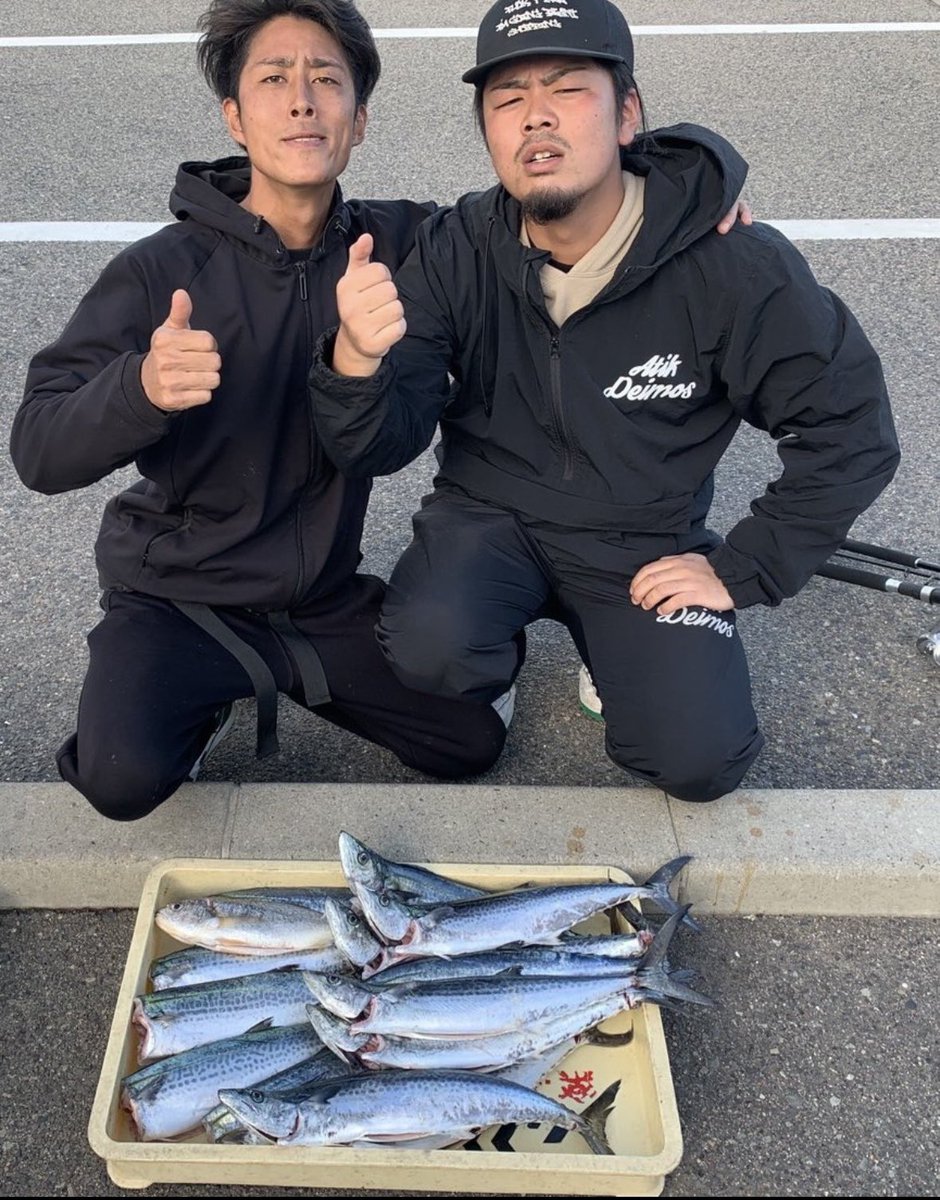 釣れない猫 on X