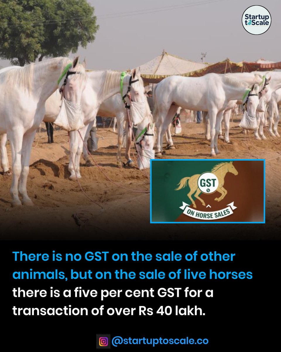 startup2scalle's tweet photo. There is no GST on the sale of other animals, but on the sale of live horses there is a five per cent GST for a transaction of over Rs 40 lakh.
#gst #gstupdate #phuskarmela #gstrates https://t.co/xGZmEOio2D