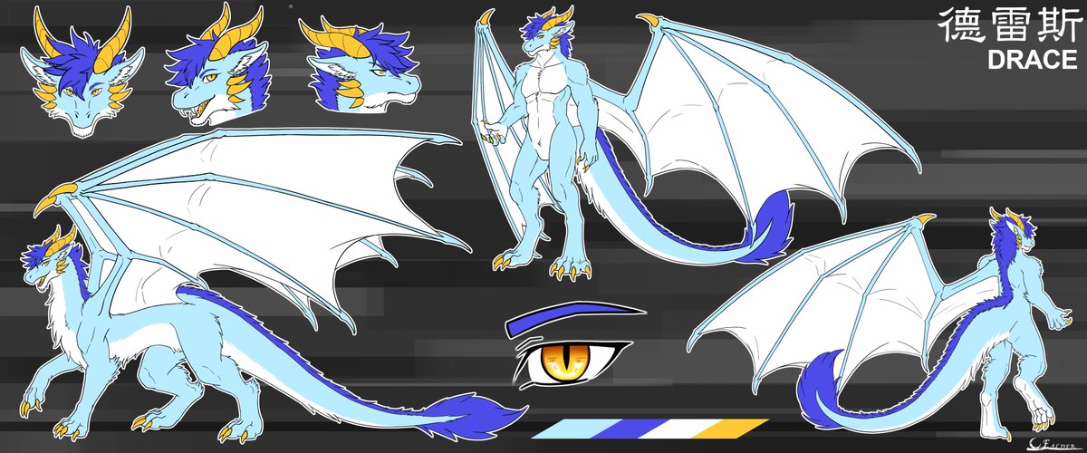 德雷斯(Drace) tweet media