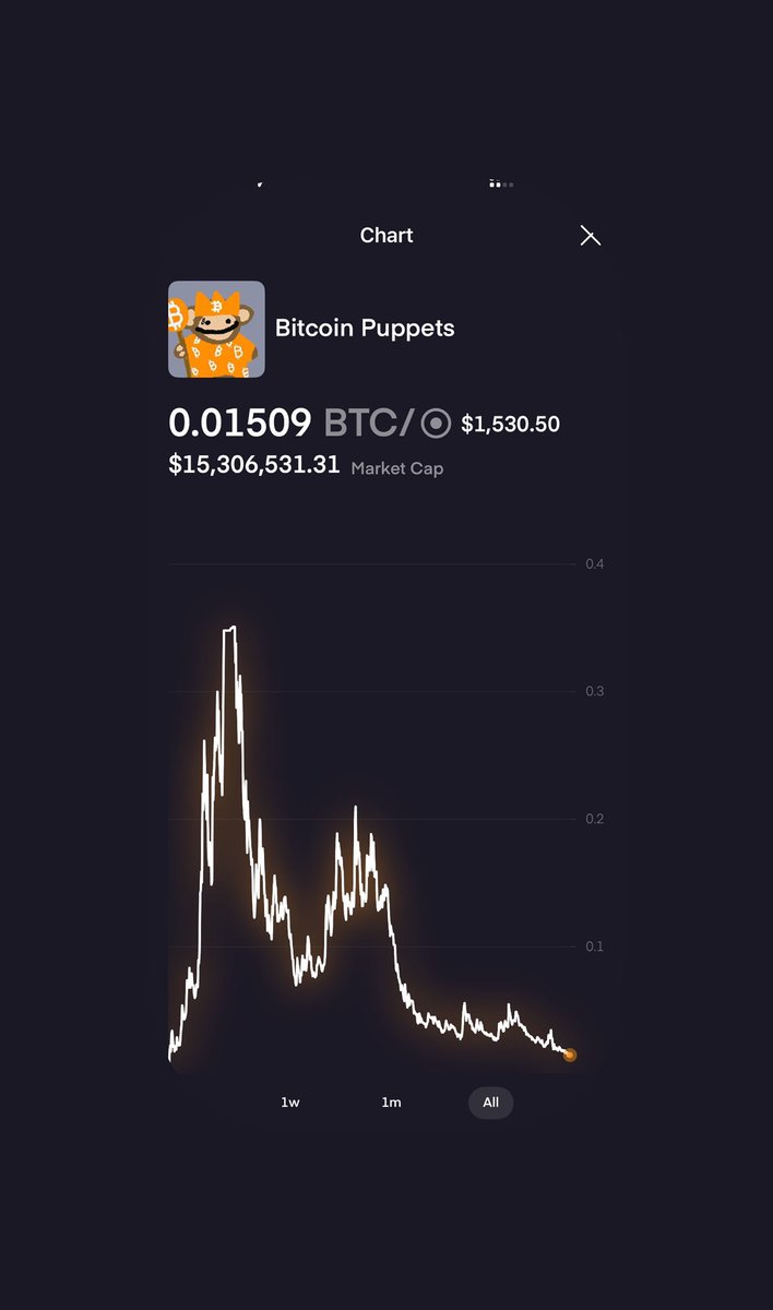 Bongo 🥁 tweet media