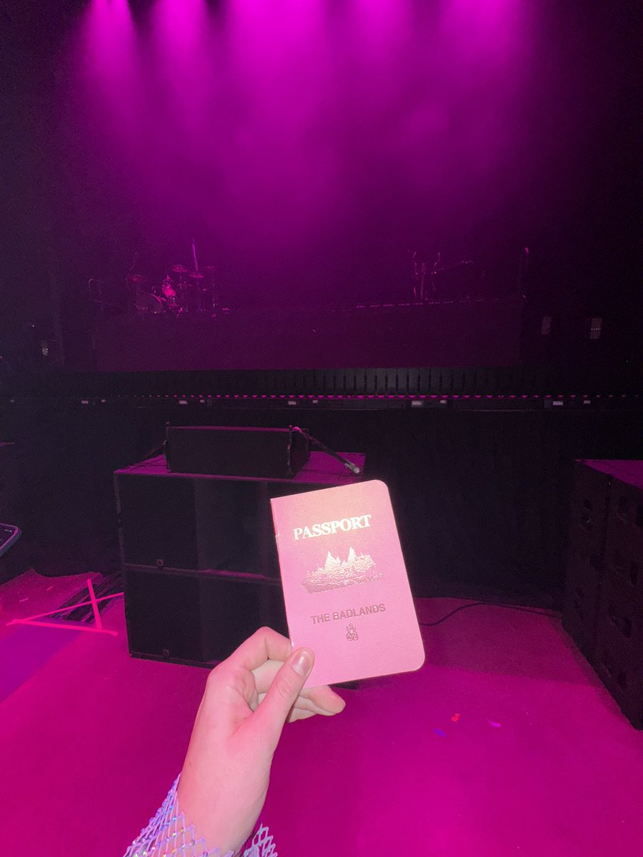 2023 i was diagnosed with cervical cancer, fought &amp; won. i was one month away from making it to 2 years in remission. however, it’s back. BUT tonight i’m going BACK TO BADLANDS &amp; am so ready for some <a href="/halsey/">halsey 🌸</a> therapy 🤍 i’m also the closest to the stage i’ve ever been 🥲