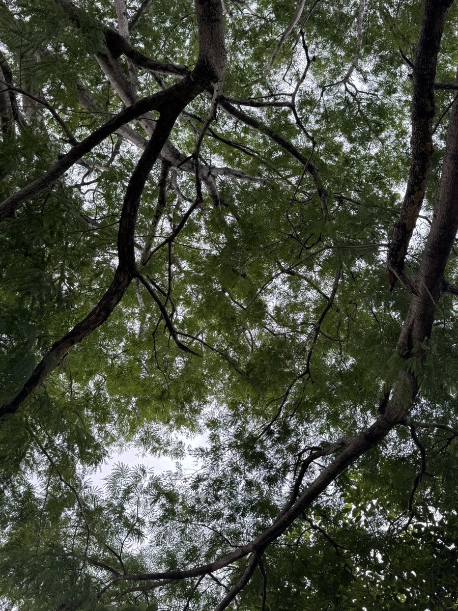 Fly_248's tweet image. 