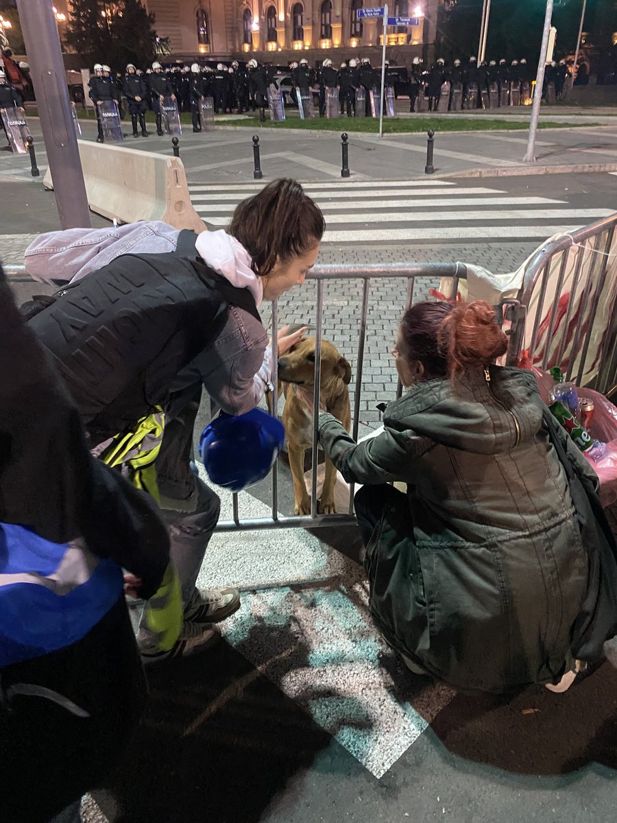 miloshhh87's tweet image. #protest #policija #ćacad