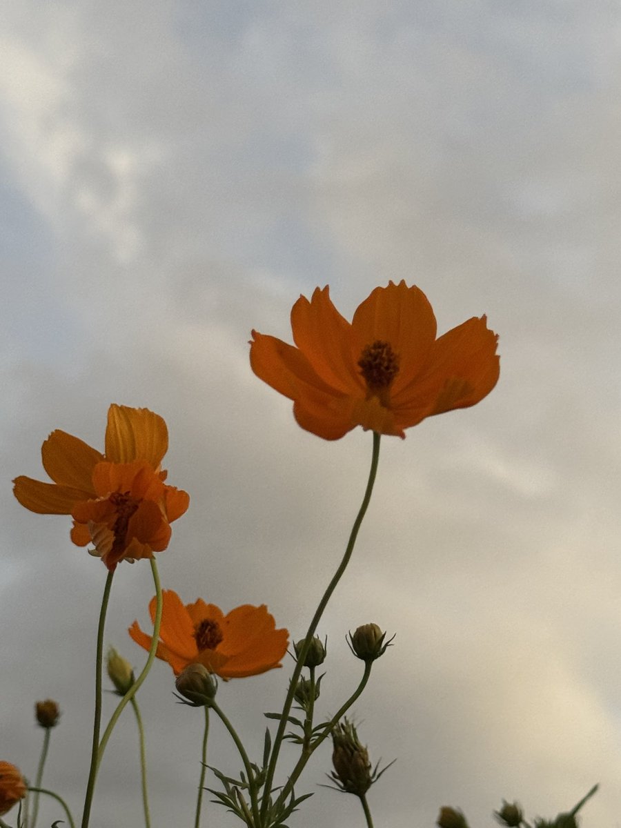 Fly_248's tweet image. 