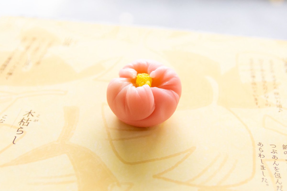 🍂11月の上生菓子🍂
朝晩の冷え込みが増し、季節の移ろいを感じる頃となりました。
暖かくして、ぜひ秋のお菓子をお楽しみください♪
instagram.com/p/DQvGRDUku8W/…
