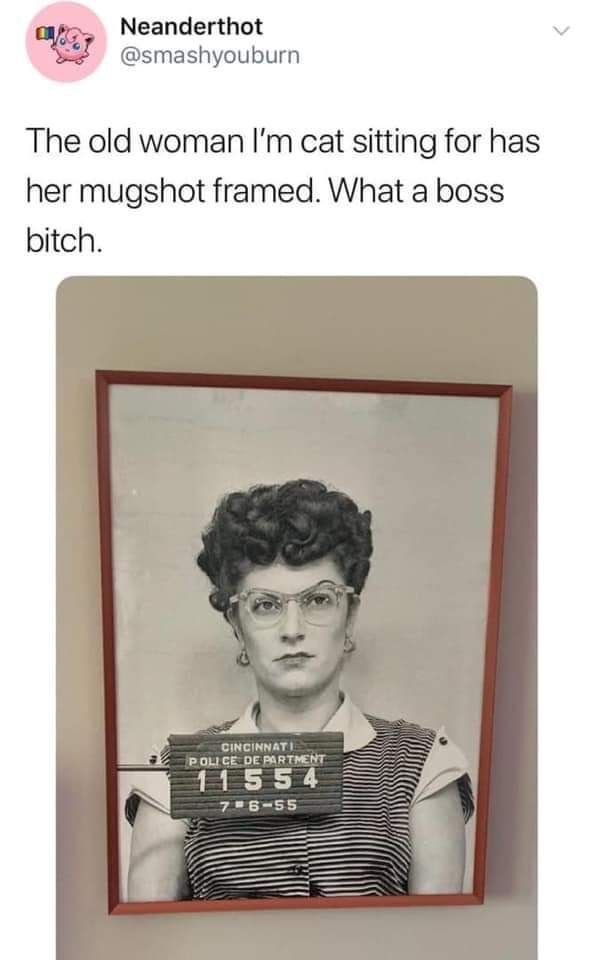 dinosaur (@dinosaurs1969) on Twitter photo 