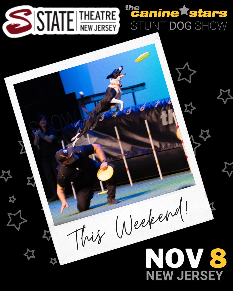 The Canine Stars tweet media