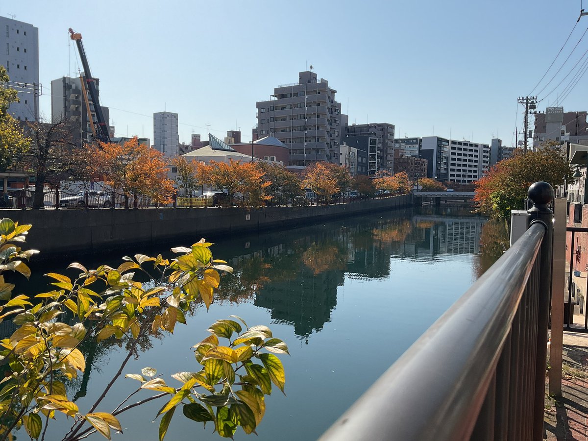 オープンしました。   

営業時間は18時までです。
12〜13時はクローズさせていただきます。

黄金町もどんどん秋仕様に🍂🍁📕

koganecho.net/event  
gallery made in koganecho   13時〜18時