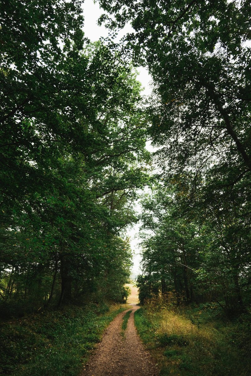 NathanRector5's tweet image. $MNTS $0.50 Momentus VLEO thrusters weak momentum. 💎 🎌 💎 🌸