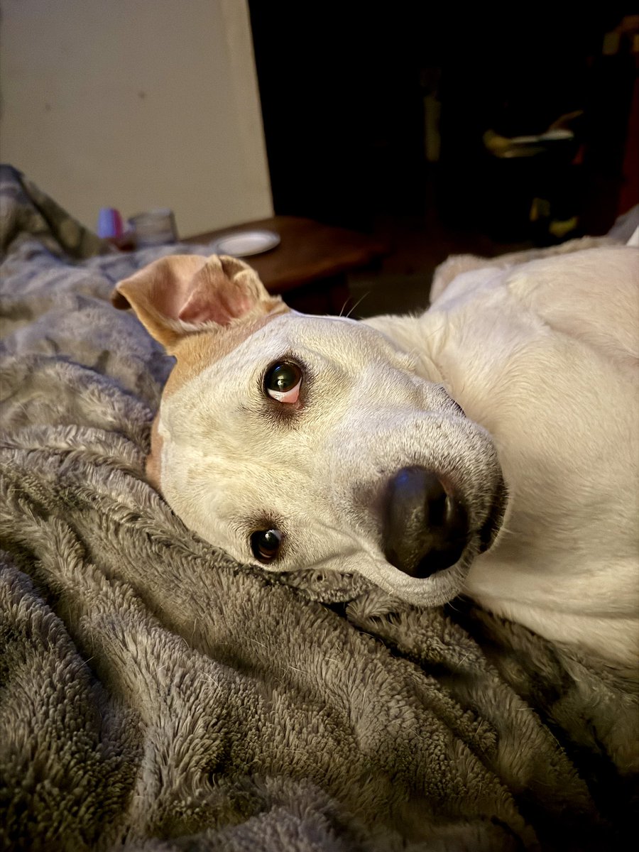 Jarett & Lilly tweet media