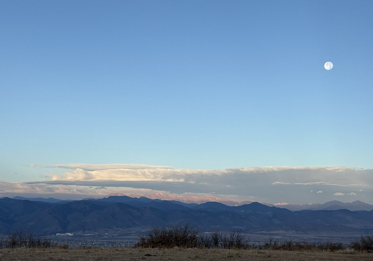 Maseroho's tweet image. 