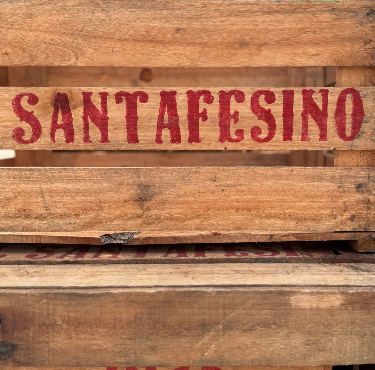 Omnibus-Type tweet media