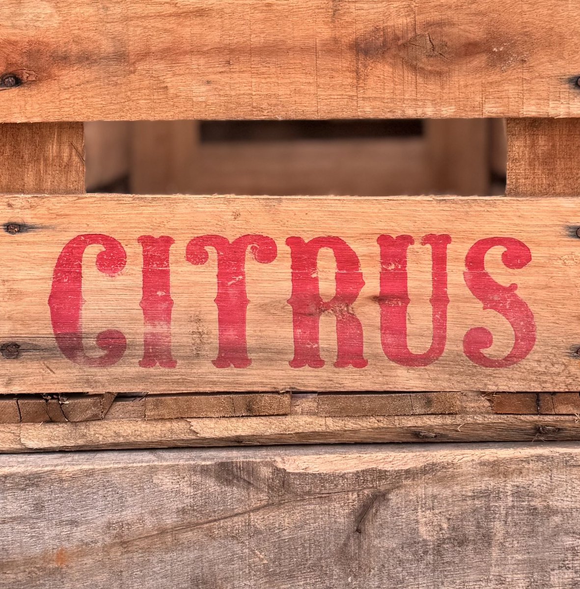 Omnibus-Type tweet media