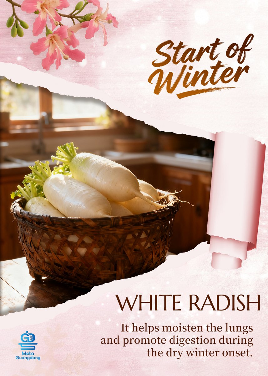 MetaGuangdong's tweet image. Embrace the Warmth at the &quot;Start of Winter&quot;! 

As winter begins, it’s time to nourish your body ! Here are 4 comforting food to keep you cozy: 

Jiaozi - Bite-sized parcels of winter warmth.
White Radish - Moisten your lungs for dry days. 
Tea - Warm your body and calm your mind.…