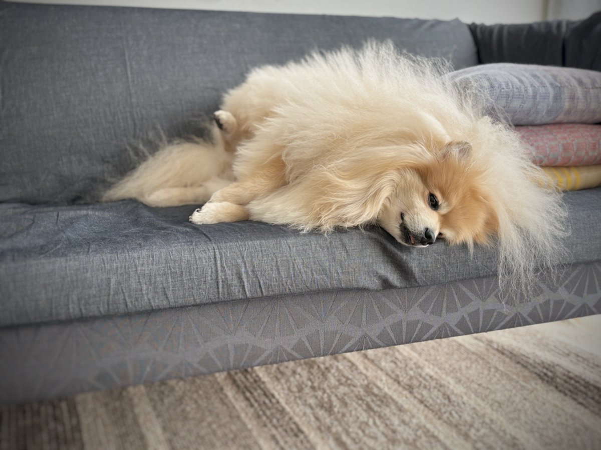 妖(よう) (@snow_white_999) / Posts / X