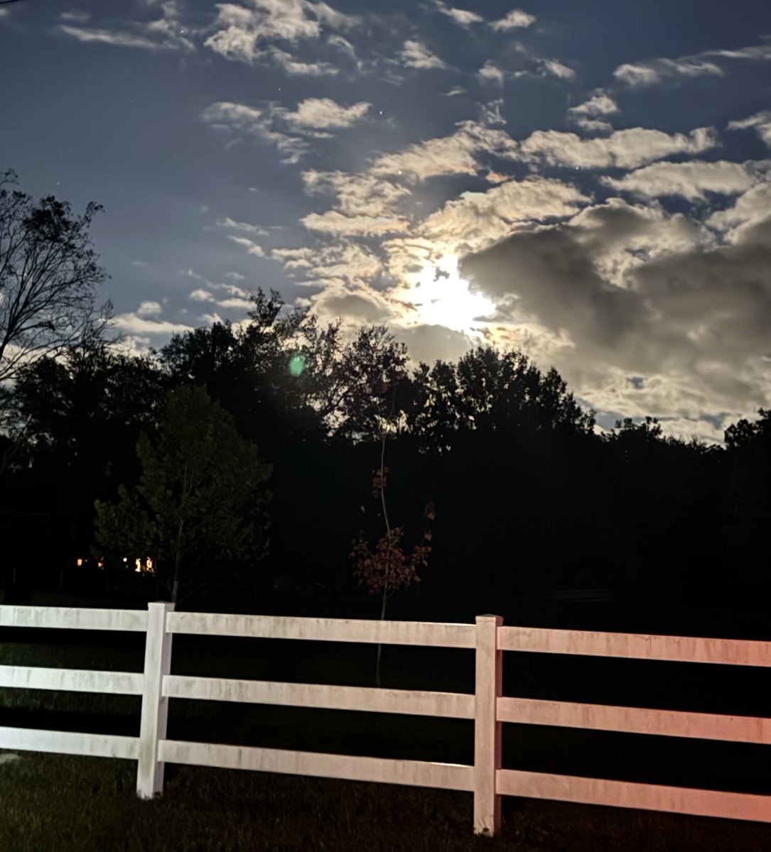 augist's tweet image. Moonshine SE Texas