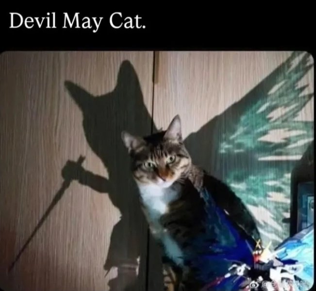 DMC_ate_namorar's tweet image. 