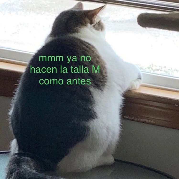 En Júpiter (@en_jupiter_) on Twitter photo 