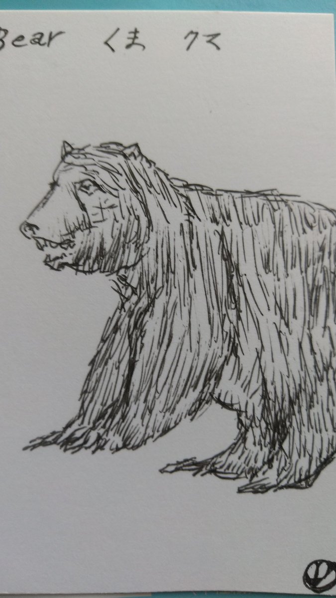 くま クマ 熊 ベアー 12