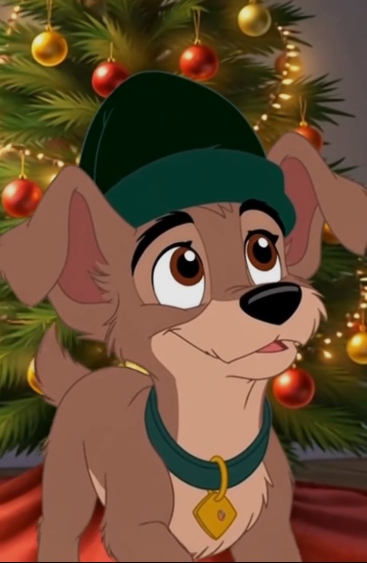 𝕊𝕔𝕒𝕞𝕡 𝕄𝕦𝕥𝕥 ℙ𝕦𝕡𝕡𝕪 tweet media