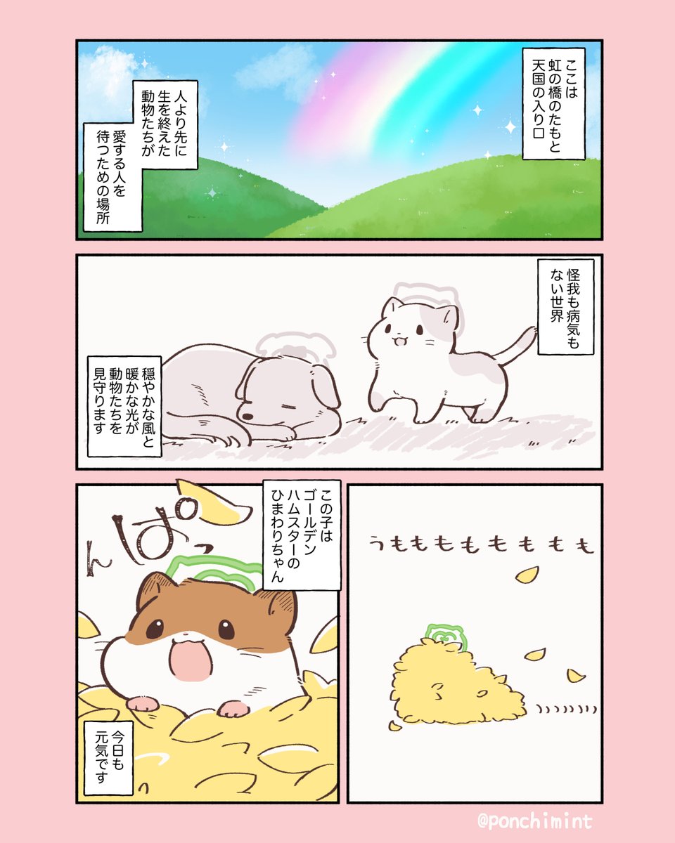 ひまらぼページ 令和7年度第47回 町田市民文化祭『かがやく未来へ』第66回 THE VITAMIN