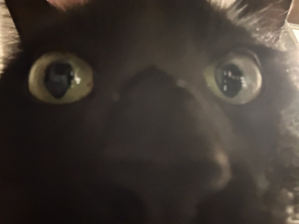 猛啃翘屁嫩男大腚反被捆 tweet media