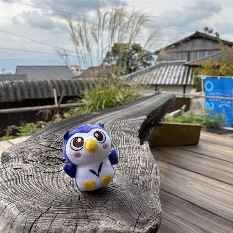 童田明治 グッズセット MEIDAI GOODS @めいじろうショップ