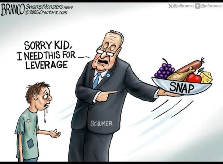 MAGA Ed tweet media