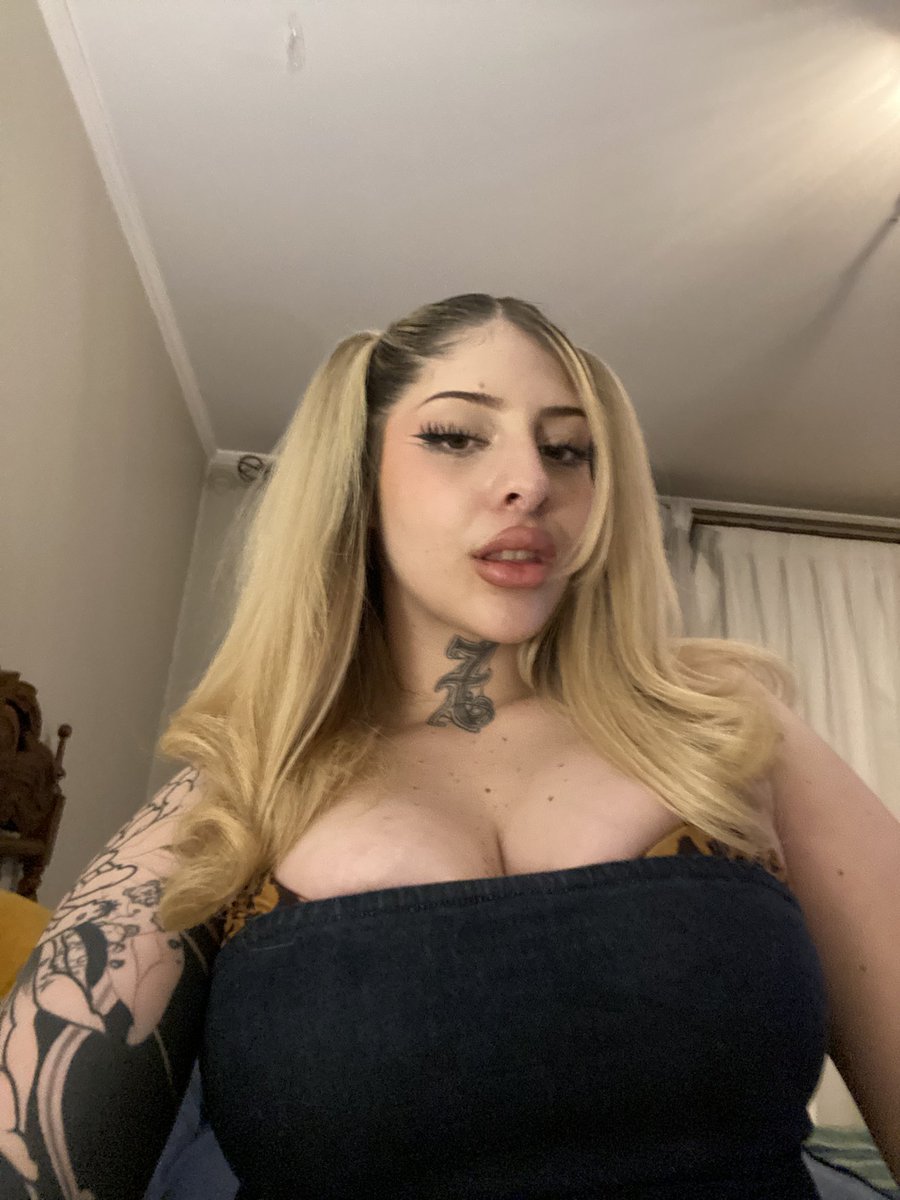 GATAPISTOLA tweet media