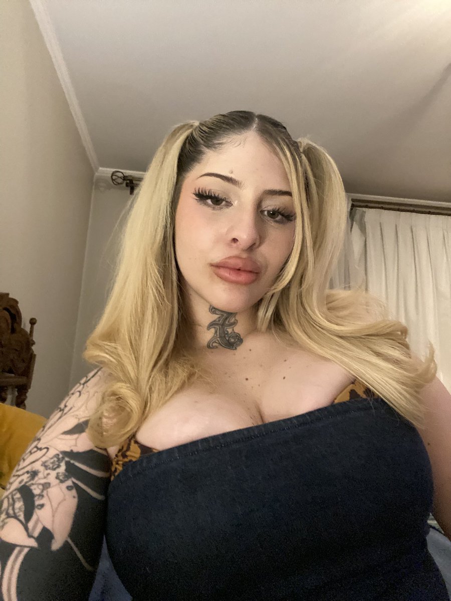 GATAPISTOLA tweet media