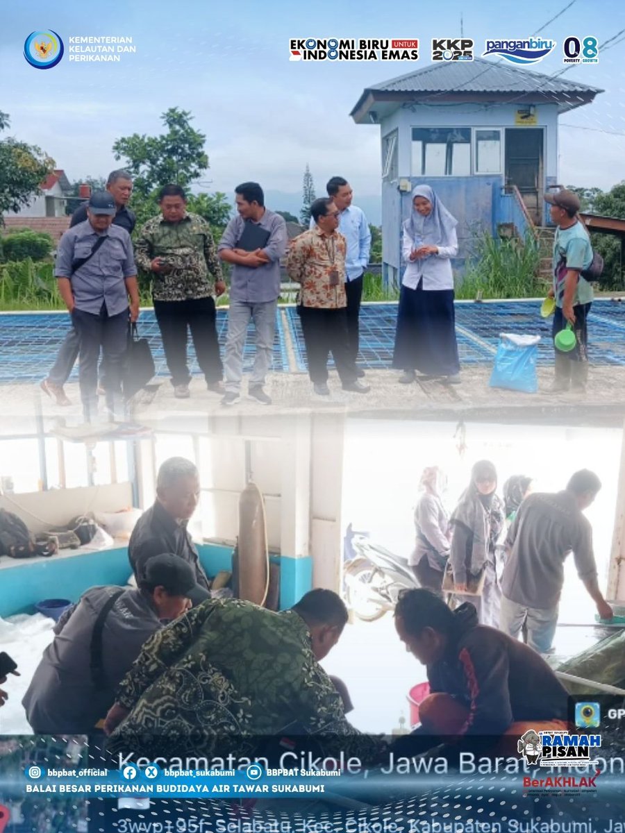bbpbat_sukabumi's tweet image. #Kunjungan studi pembelajaran teknologi sistem pembenihan dan pembesaran ikan Dinas Perikanan Kab. Paser di Balai Besar Perikanan Budi Daya Air Tawar (BBPBDAT) #Sukabumi, #Jawa Barat.

Dalam upaya meningkatkan kualitas teknis budidaya air tawar di