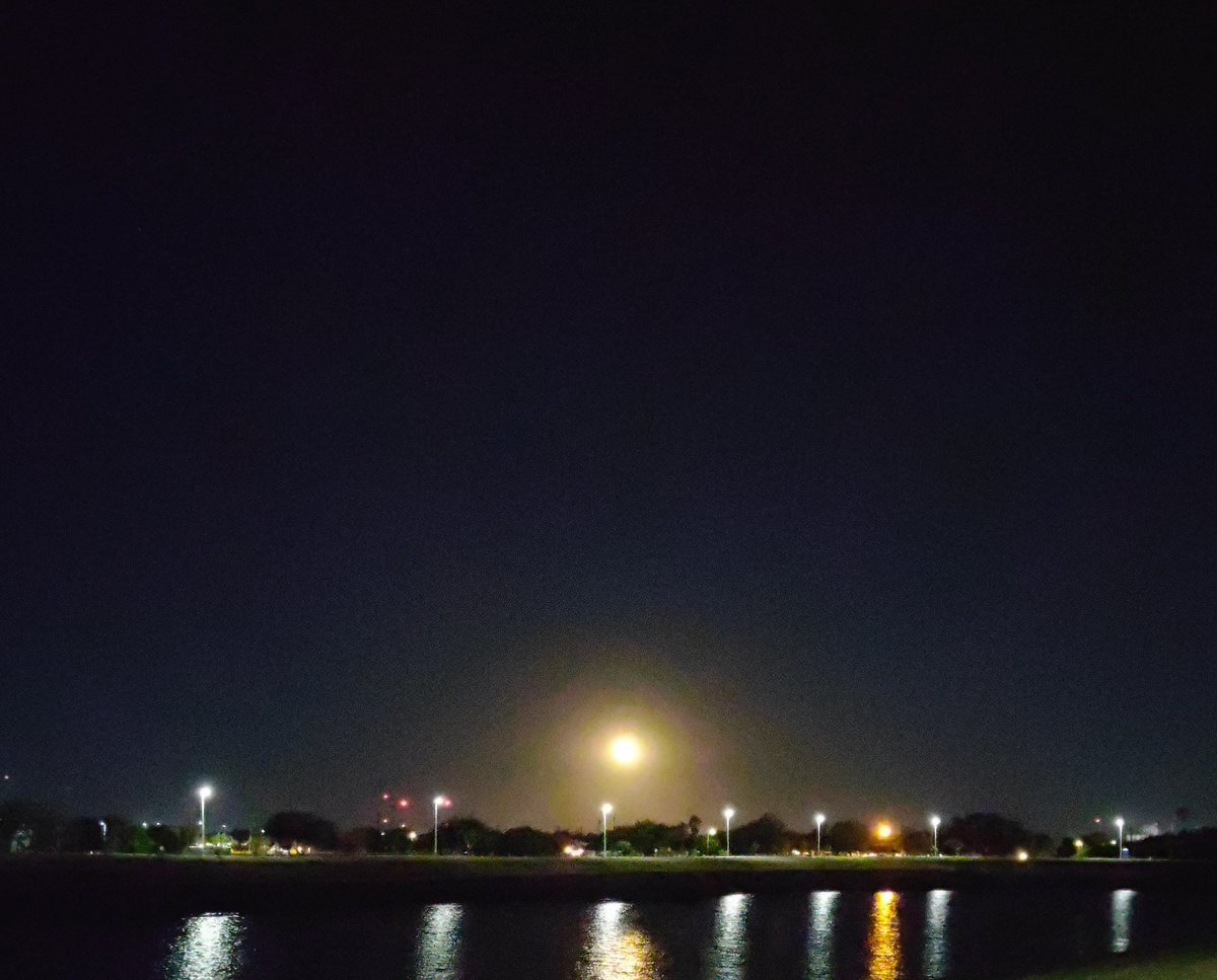 ZigTheDragon 🐲 tweet media