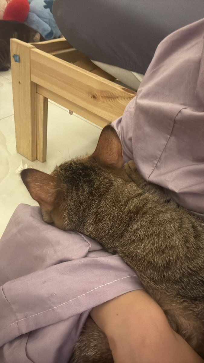 قاعدة اصلي الوتر وطول الصلاه وهو واقف ع السجاده يطالع فيني وبعد ماخلصت جا انسدح بحضني ..