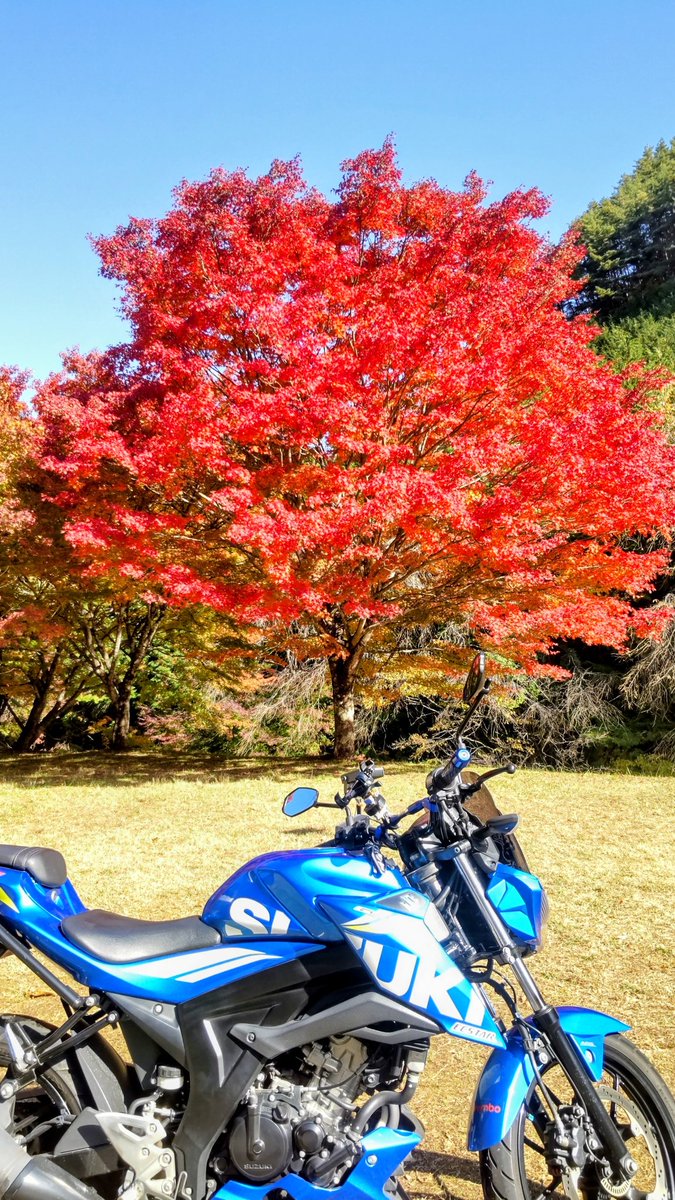 馬のいる景色 いさおじさん on X