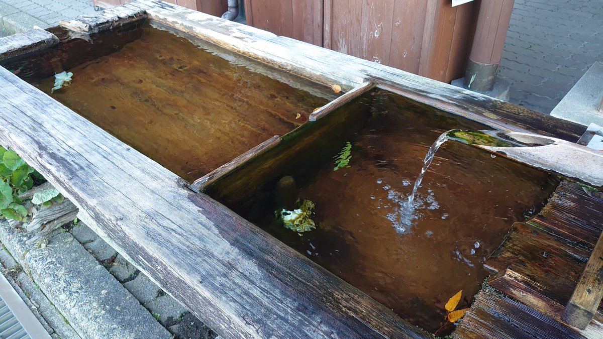 PCM8's tweet image. ここは岐阜の道の駅・明宝。
木の香りが残る建物の前に立ってるのが「明宝ハムちゃん（？）」🐷🎀
澄んだ空気と山の光の中で、こういう“地元の顔”に出会うと、旅が少しあたたかくなる☀️✨