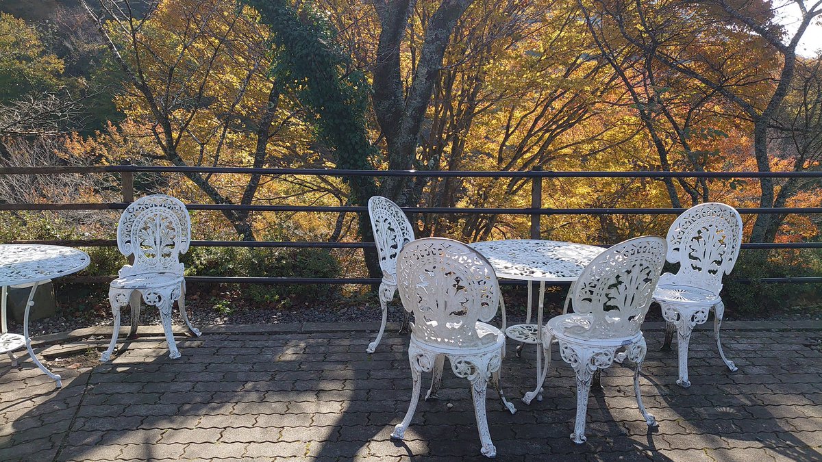 PCM8's tweet image. ここは岐阜の道の駅・明宝。
木の香りが残る建物の前に立ってるのが「明宝ハムちゃん（？）」🐷🎀
澄んだ空気と山の光の中で、こういう“地元の顔”に出会うと、旅が少しあたたかくなる☀️✨