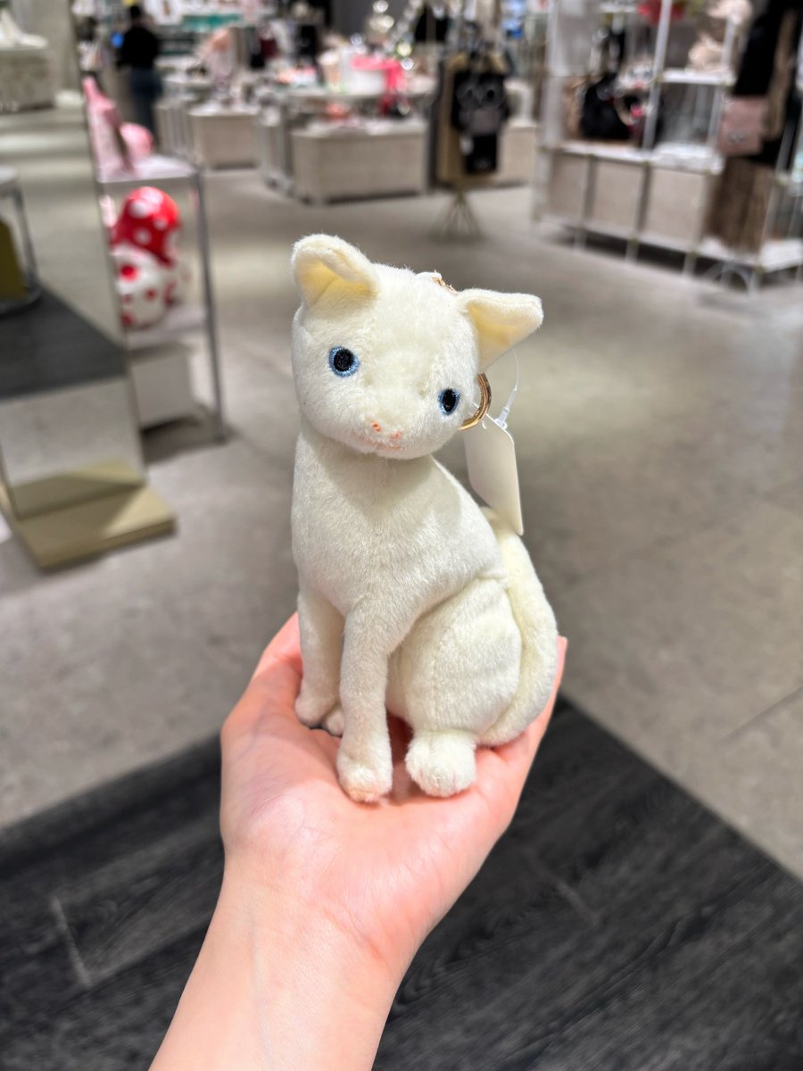 😺New😺本日11月7日(金)より、ラムフロムオリジナル「土屋仁応 黒猫 (Black Kitten) ぬいぐるみ＆子猫マスコット」を渋谷店＆オンラインストアにて販売開始です❣️黒猫ちゃんは数量限定サイン入りもございますので、この機会をどうぞお見逃しなく✨💁🏻‍♀️ store.lammfromm.jp/view/category/…