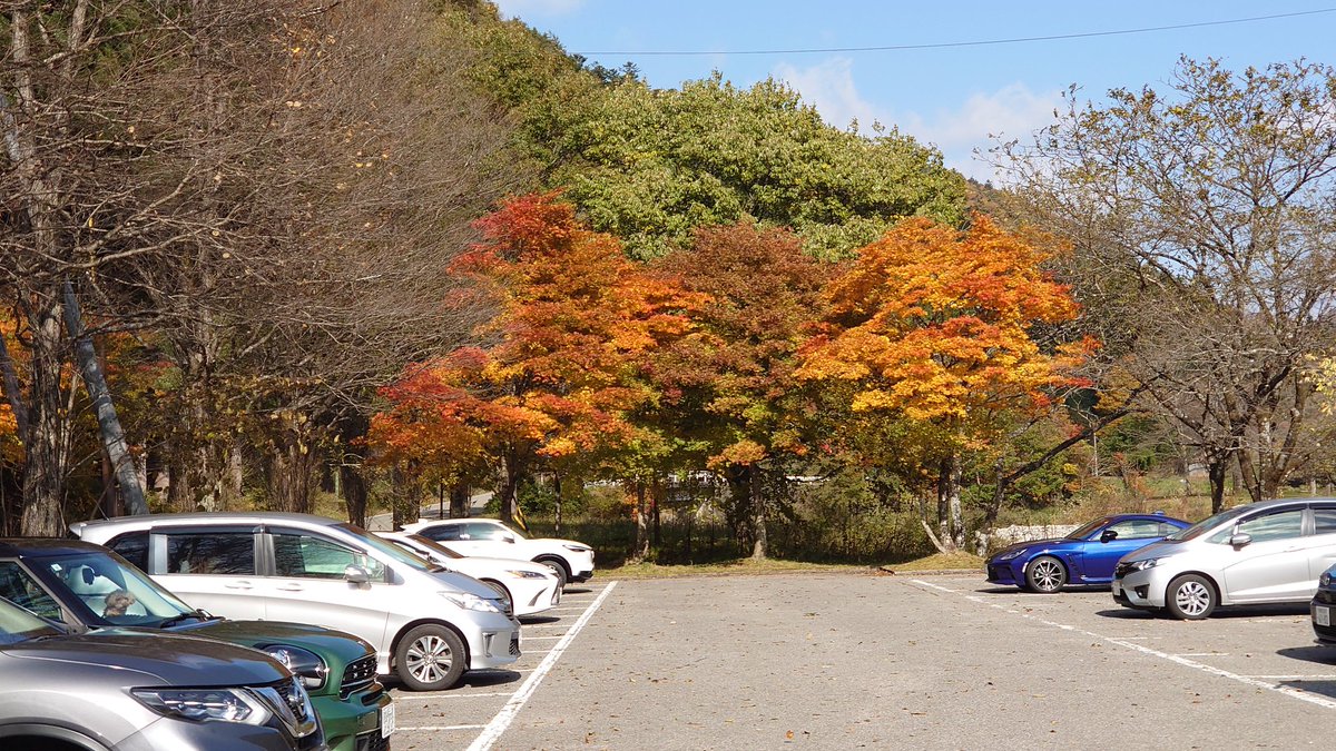 PCM8's tweet image. 秋の陽ざしがやわらかくて、エンジン音まで澄んで聞こえる。
ここは道の駅パスカル清見、ライダーたちの集まる峠のオアシス🏍️🍂
木造の屋根の向こうに広がるのは、金と朱のグラデーション。
一本の紅葉が空の青に映えて、まるで季節そのものが写真に写り込んだみたい。…