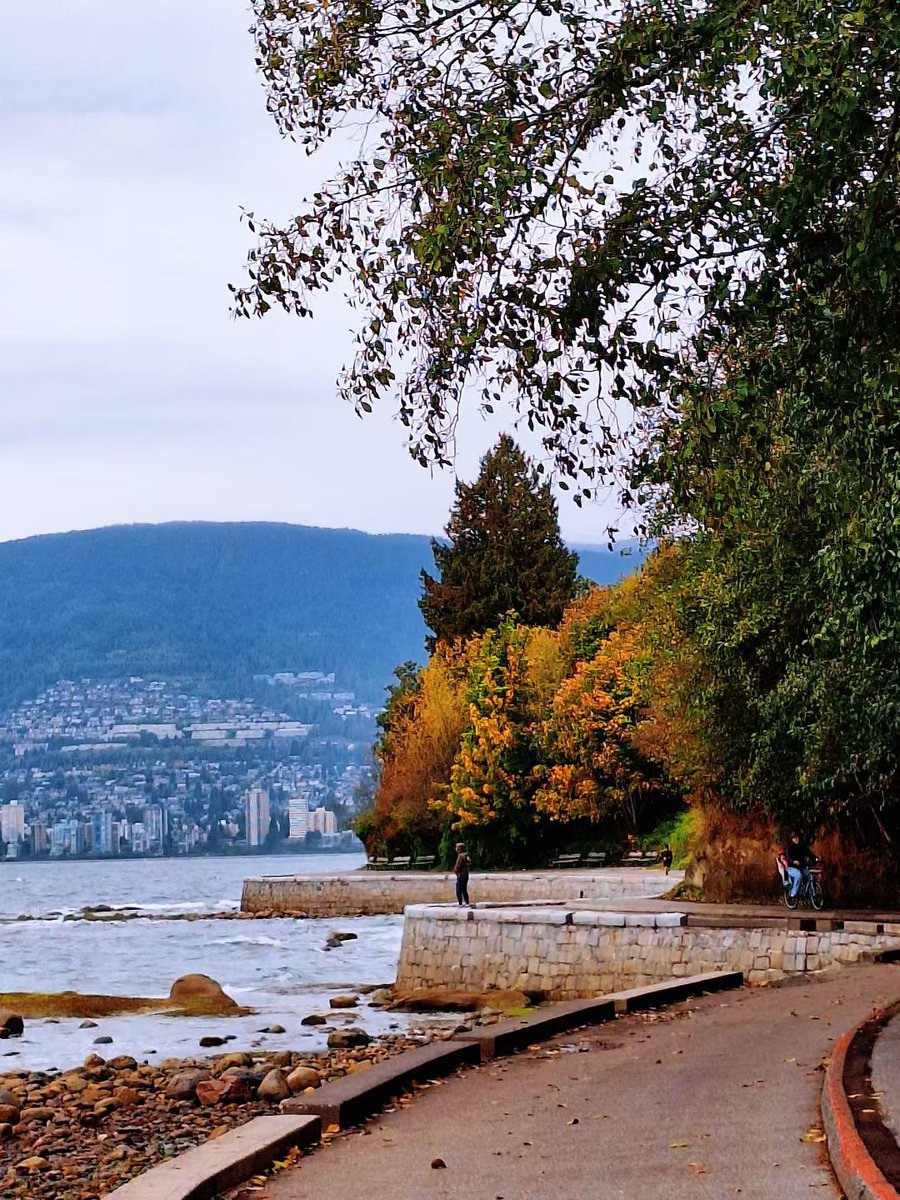 WanEric569917's tweet image. City behind, sea ahead — breathing feels easier here. 🌊

#SeasideVibes #OutdoorMoment #UrbanCalm #CamelOutdoor #NatureEscape #FallScenes #PeacefulView #WeekendWalk