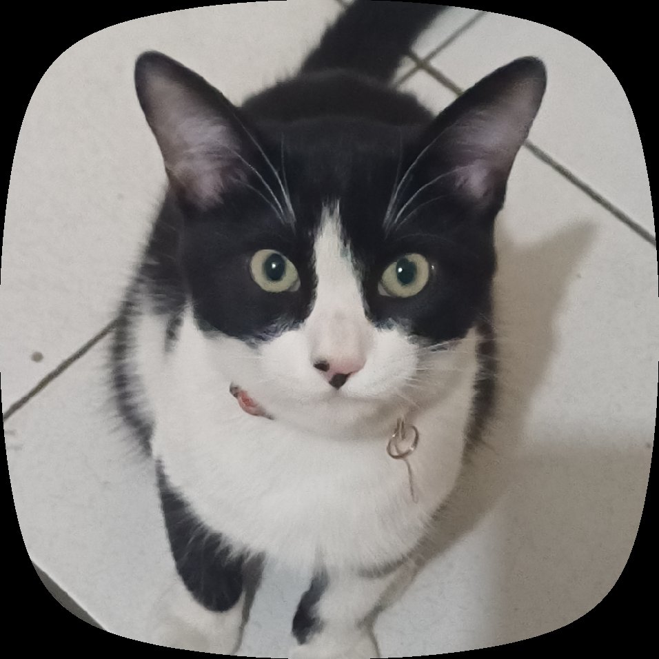 bele_Lim's tweet photo. Odino ya creció. Ya es un bebesote!! https://t.co/8MrGwrUd3U