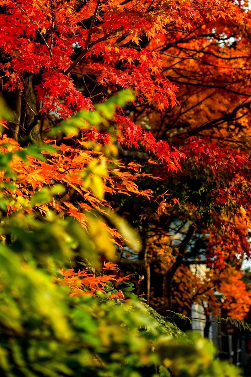 マーチページ キンチ on X