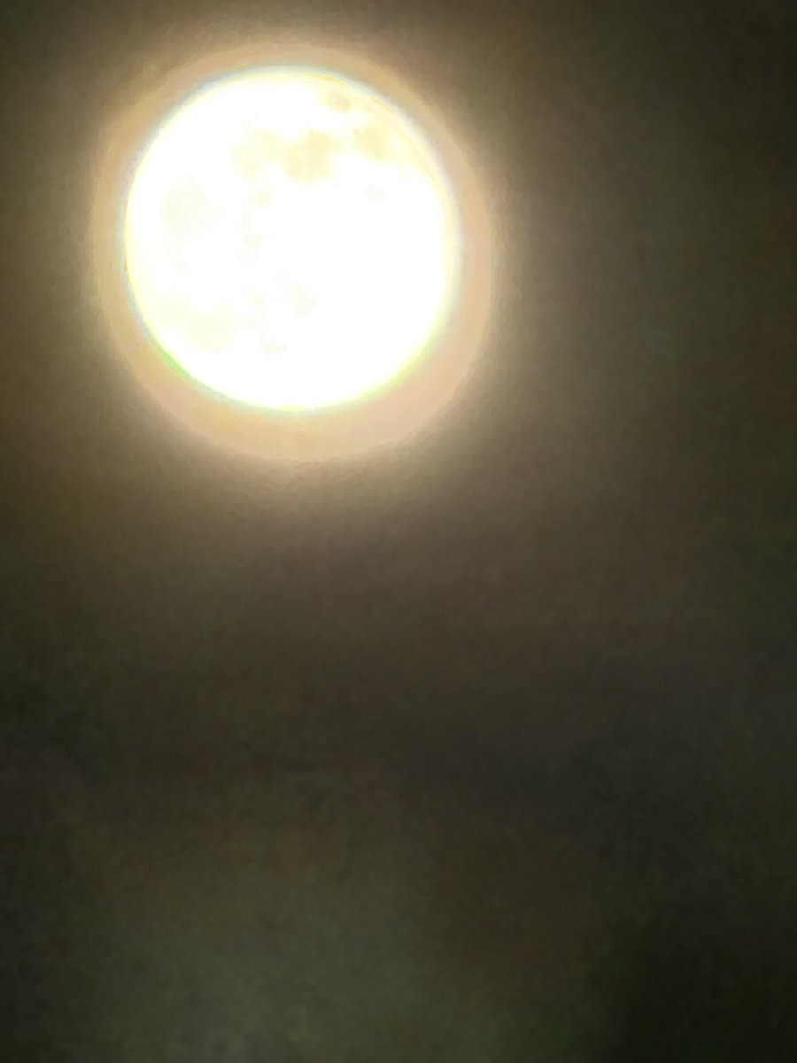 beatdead22's tweet image. 여러분 속지마세요 아이폰17프맥으로 찍으면 실제로는 이렇게나옵니다