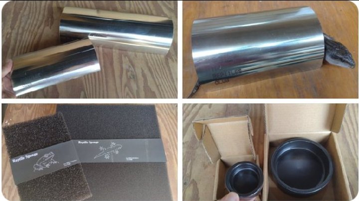 爬虫類倶楽部 ファーム on X