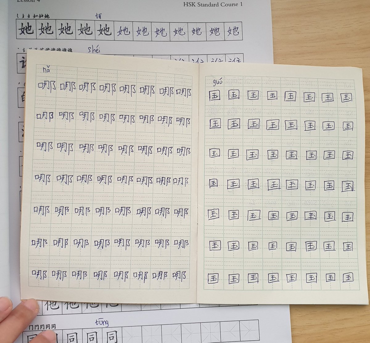 asiahnh's tweet image. (44/100) Turns out, I still need to take a peek at my past Hanzi writing 😔

#chineselearning #studytwt #langtwt #100daysoflanguagelearning