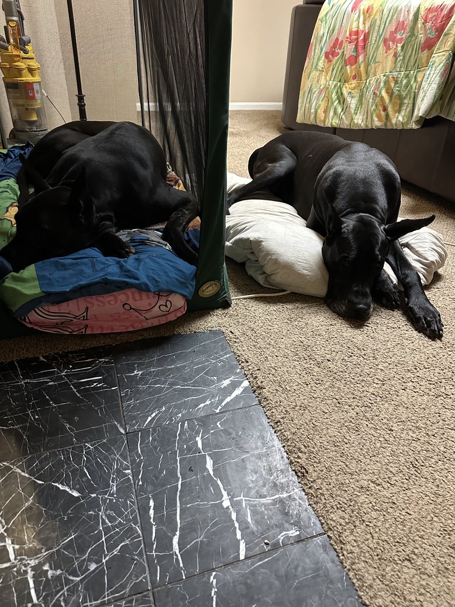 The Panic tweet media